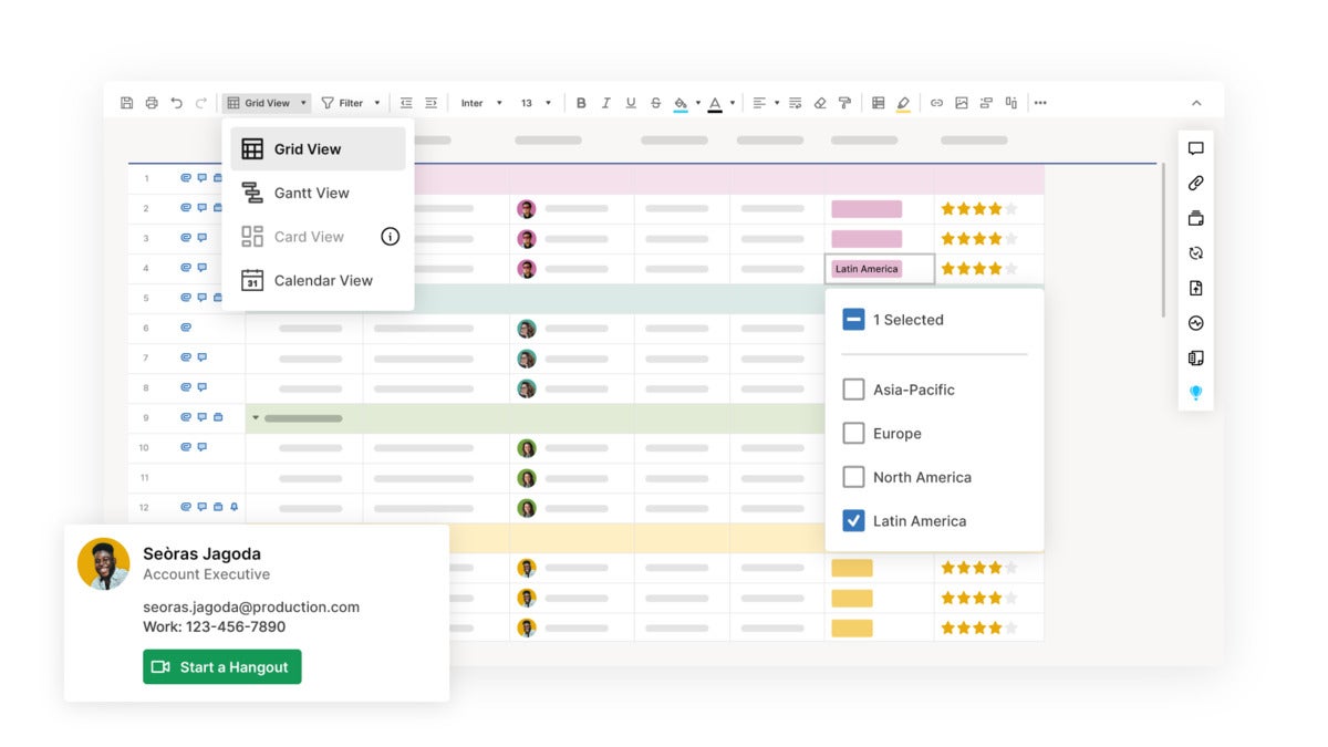 Smartsheet grid view